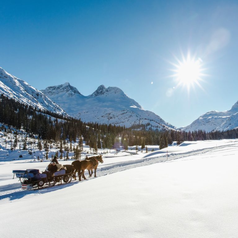 Winterzauber abseits der Piste - Pferdeschlittenfahrt in Lech Zürs am Arlberg (c) Christoph Schöch