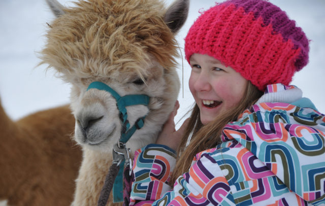 Tierische Begegnung - Alpaca-Lama-Wanderung mit Birgit Knecht © alpaca-lama.com