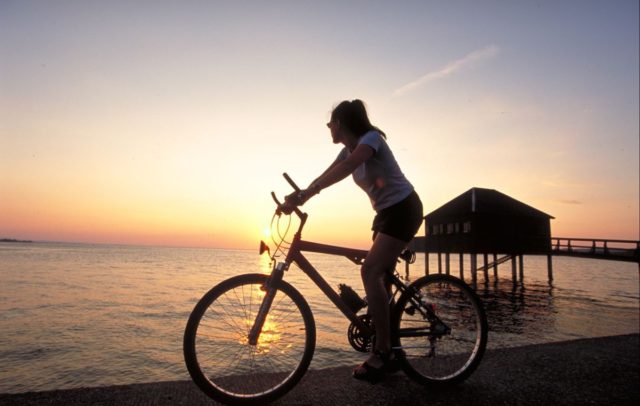 Radfahren am Bodensee, Radweg (c) Roman Horner / Bodensee-Vorarlberg-Tourismus